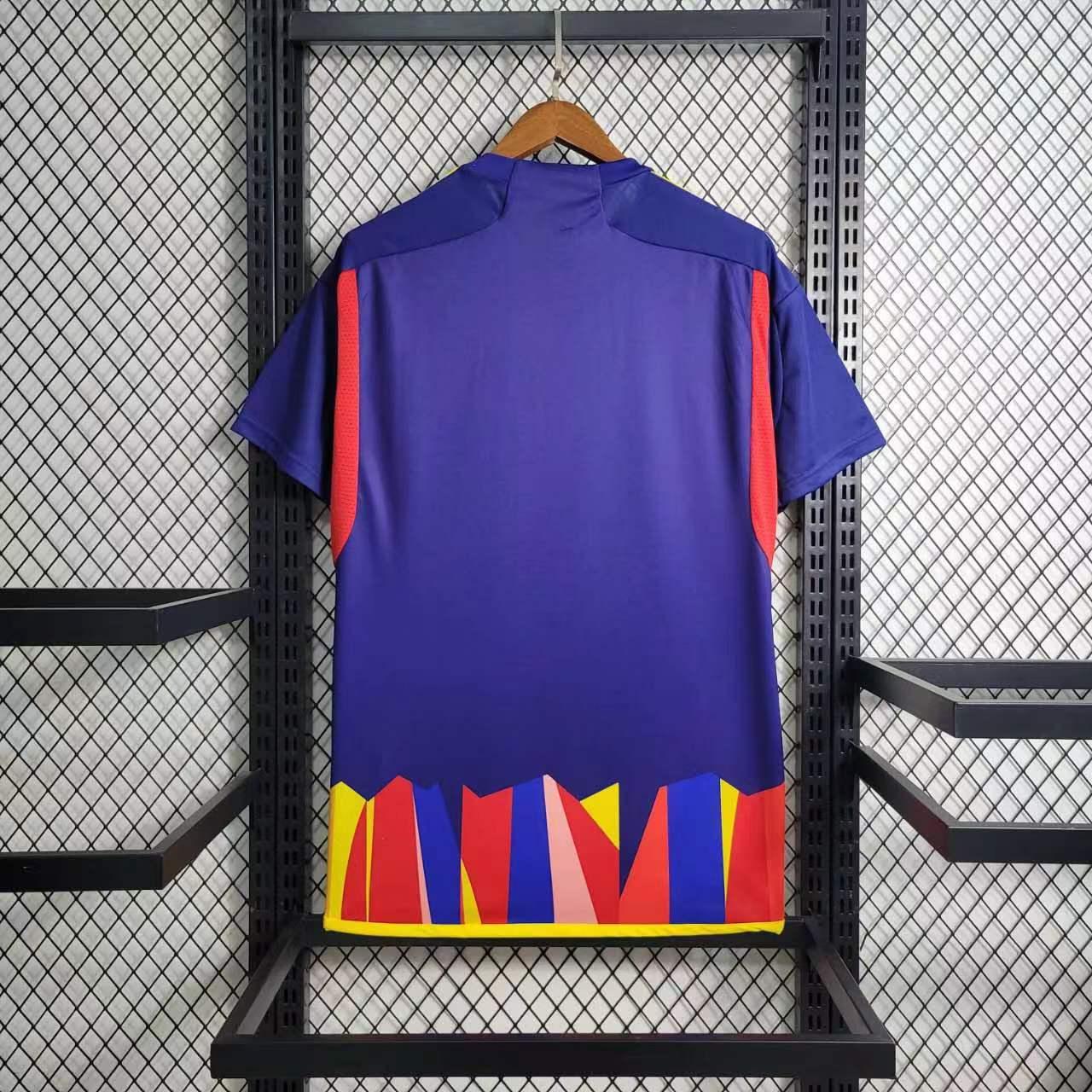 Maillot Lyon Concept 2023-24