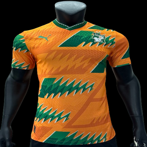 Maillot Extérieur Côté d’ivoire Version Joueur 2024-2025