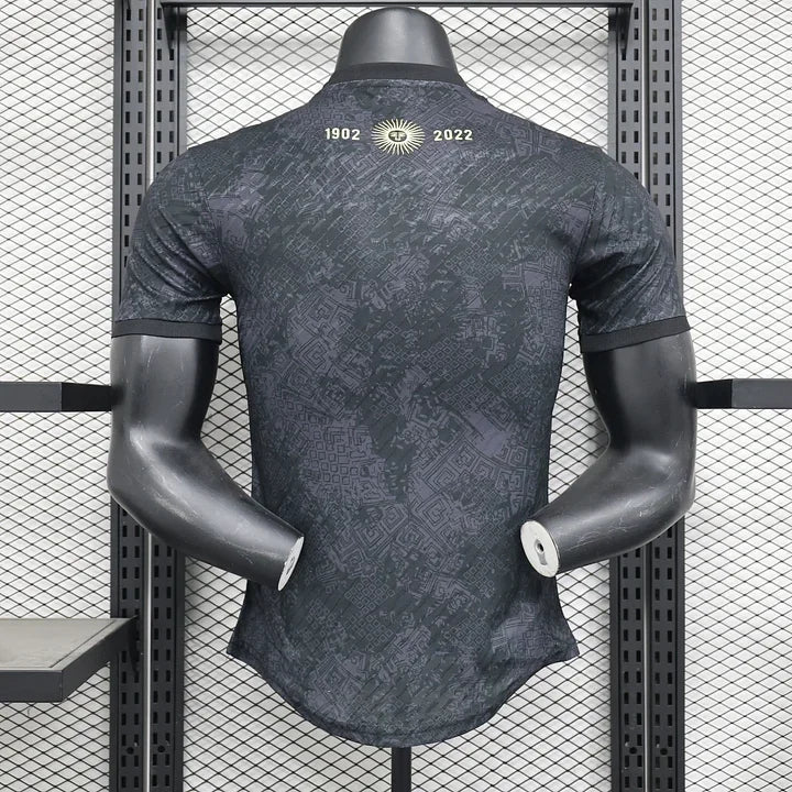 Maillot Argentine foot concept 2024 2025