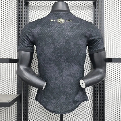 Maillot Argentine foot concept 2024 2025